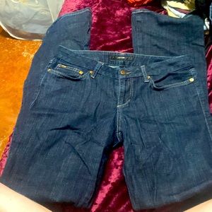 Size 28, Bootcut dark denim Joes Jeans
